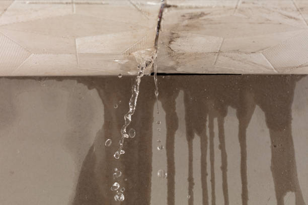 Professional Water Damage Restoration technician working in Roll, AZ